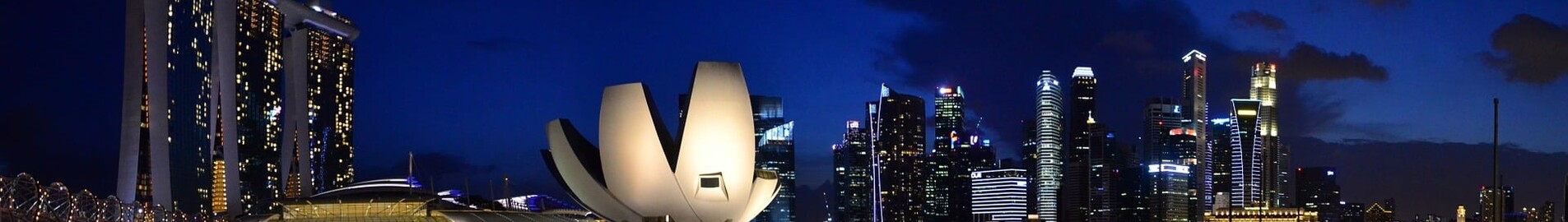 Сингапур: наемане на частен самолет 