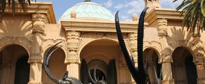 Йоханесбург : частен самолет под наем 
