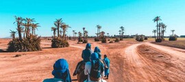 Фес : частен самолет под наем 