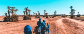 Marrakech Menara : частен самолет под наем