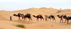 Тунис: наем на частен самолет