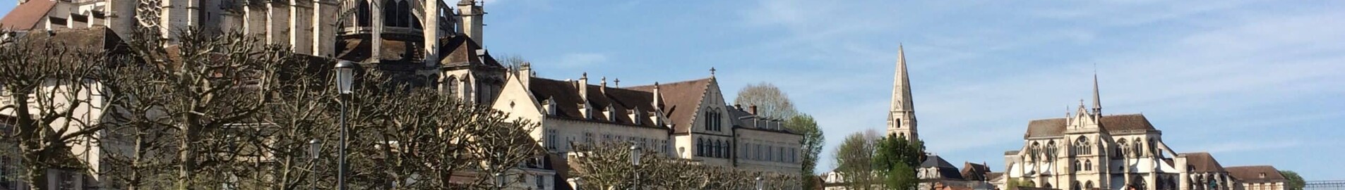 Auxerre Branches: частен самолет под наем 