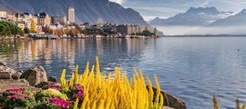 Сен Мориц - Цюрих : частен самолет под наем