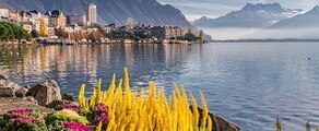Хамбург - Женева : наем на частен самолет