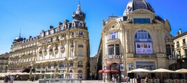 Chambéry Chamonix: частен самолет под наем 