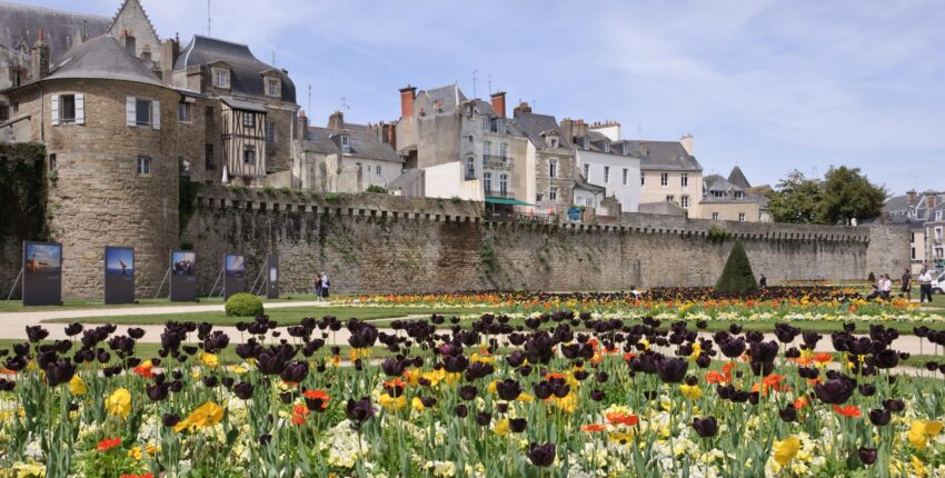 Vannes : частен самолет под наем 