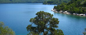 Mljet: частен самолет под наем 