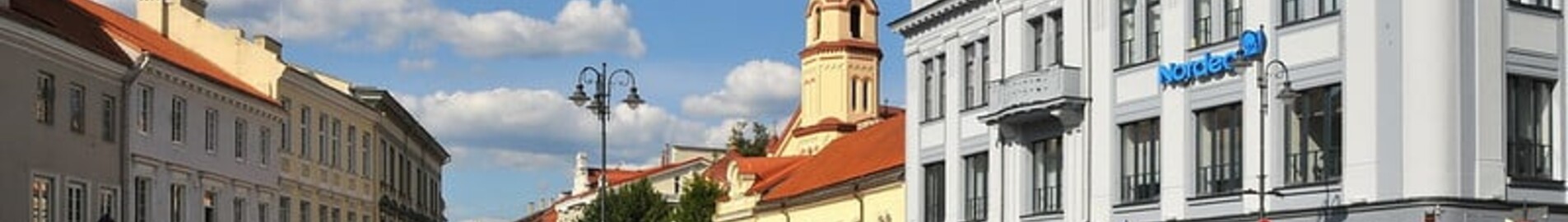Вилнюс : частен самолет под наем 