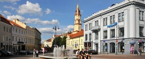 Вилнюс : частен самолет под наем 