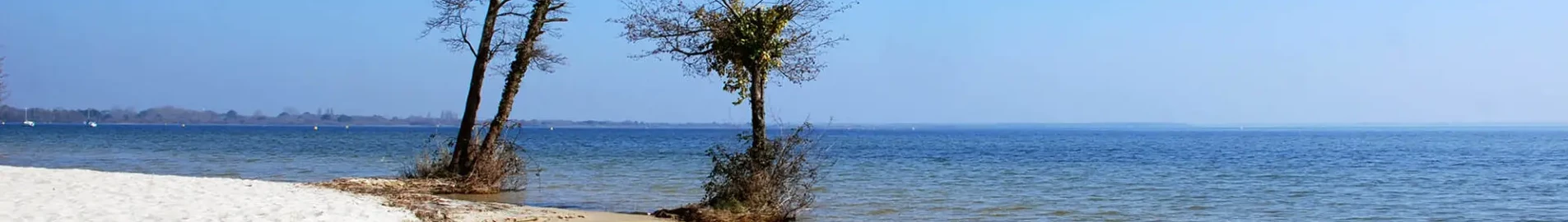 Base Aérienne Cazaux : наемане на частен самолет 