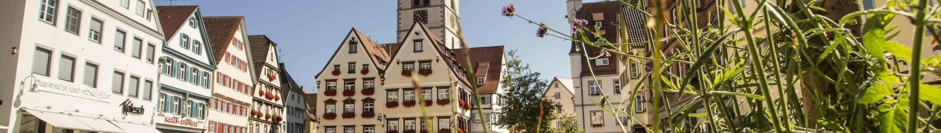 Biberach An Der Riss : частен самолет под наем 