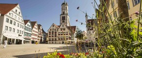 Biberach An Der Riss : частен самолет под наем 