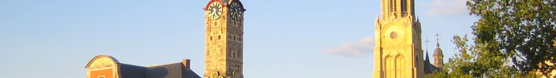 Brustem Sint Truiden : частен самолет под наем 