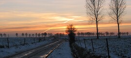 Bertrix Jehonville : частен самолет под наем 