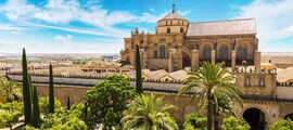 Badajoz Talavera La Real : частен самолет под наем 