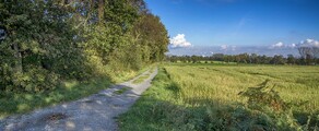 Dinslaken Schwarze Heide : location de jet privé 