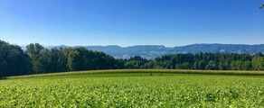 Dubendorf: частен самолет под наем 