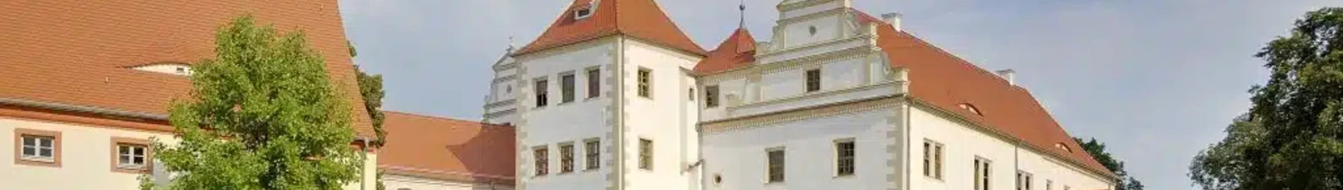 Finsterwalde: частен самолет под наем 