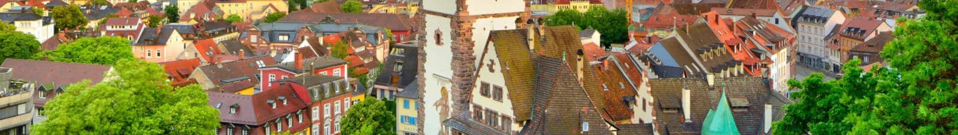 Freiburg-en-Brisgau: частен самолет под наем 