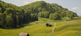 Мелбърн Есендън : частен самолет под наем