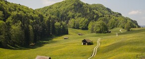 Granges: частен самолет под наем 