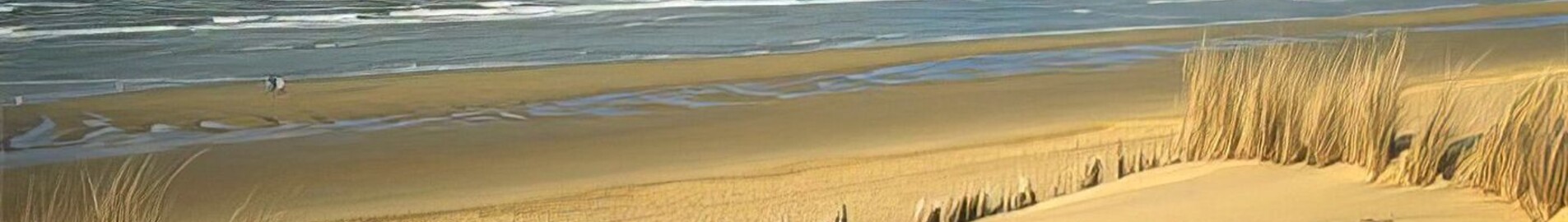 Koksijde : частен самолет под наем 