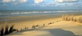 Florennes : частен самолет под наем 