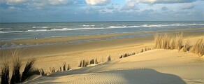 Koksijde : частен самолет под наем 