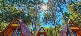 Боркум : частен самолет под наем