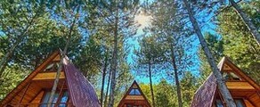 Mengen Hohentengen: частен самолет под наем 