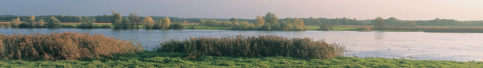Neuhardenberg Wriezen : местоположение на частен самолет 