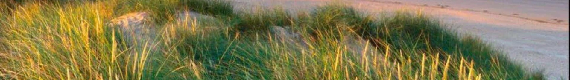 Pembrey: частен самолет под наем 