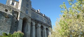 Charleville Mezieres: частен самолет под наем 