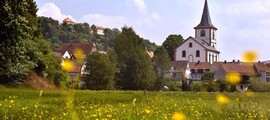 Atterheide : частен самолет под наем