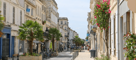 Annemasse: частен самолет под наем 
