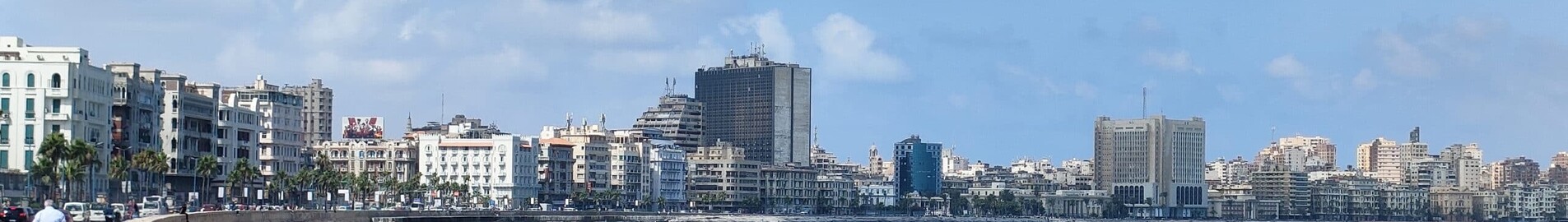 Alexandria Army : частен самолет под наем 