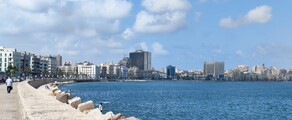 Alexandria Army : частен самолет под наем 