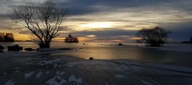 Вакшьо Кронберг : частен самолет под наем