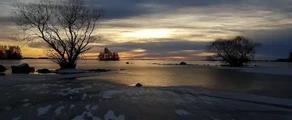 Arboga : частен самолет под наем