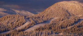 Arvika : наем на частен самолет