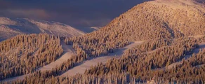 Are Ostersund : частен самолет под наем