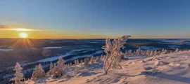 Landskrona Viarp : частен самолет под наем