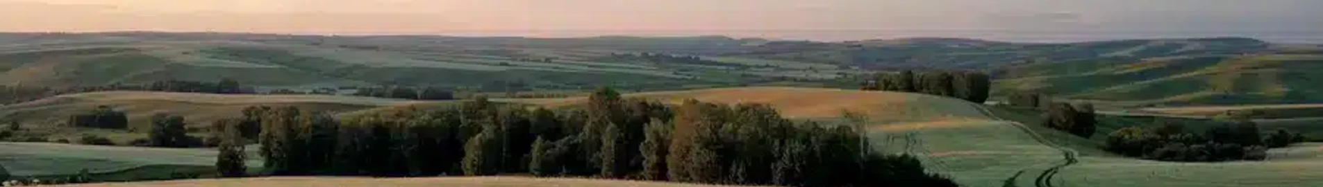 Барнаул : наем на частен самолет