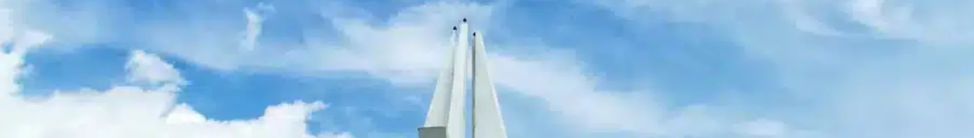 Брянск : частен самолет под наем