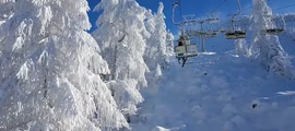 Slovenj Gradec: частен самолет под наем