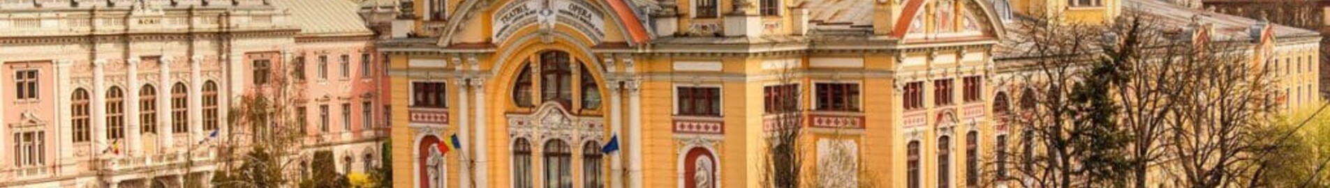 Клуж Напока : частен самолет под наем 