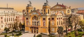 Baia-mare : частен самолет под наем