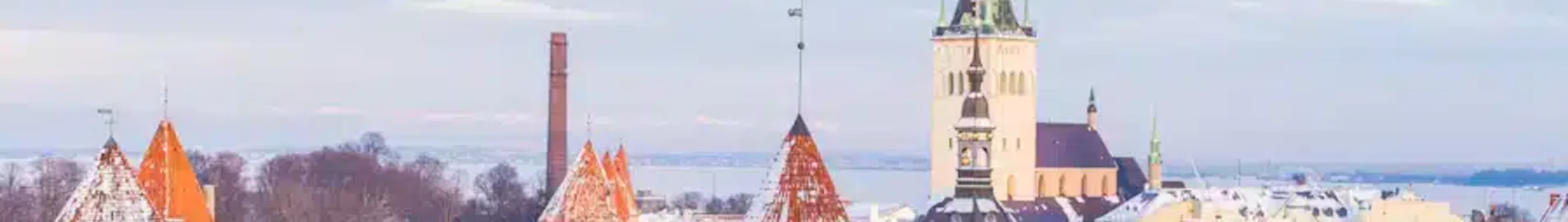 Естония : Наем на частен самолет