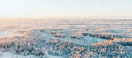 Швеция: наемане на частен самолет