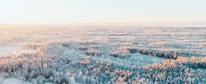 Финландия: наемане на частен самолет